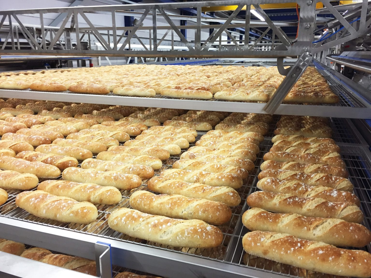 Bakery Chain Brochure